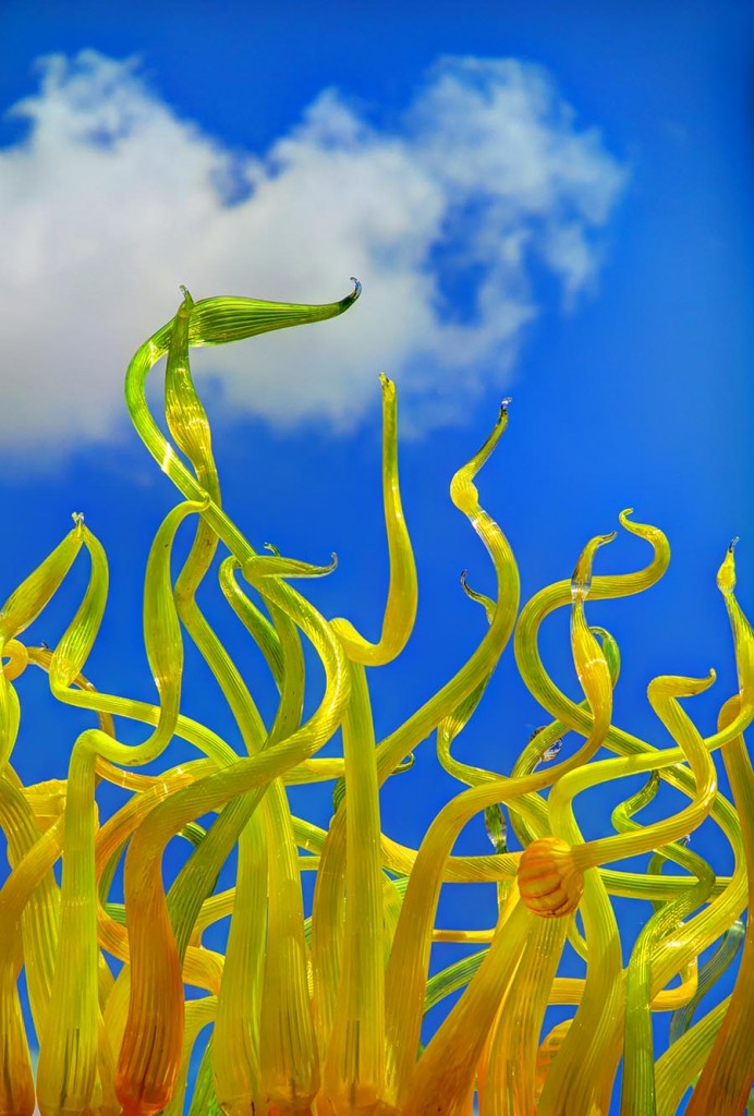 Chihuly at Missouri Botanical Garden